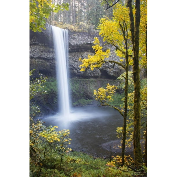 Home wall decor. South Falls waterfall photo Offering Nature Photography in Prints Canvas and Metal Art Silver Falls State Park Oregon